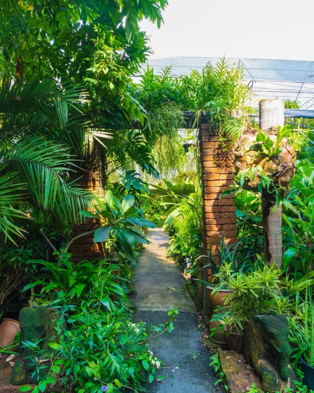 Jardín mediterráneo rediseñado con palmeras y camino de piedra natural