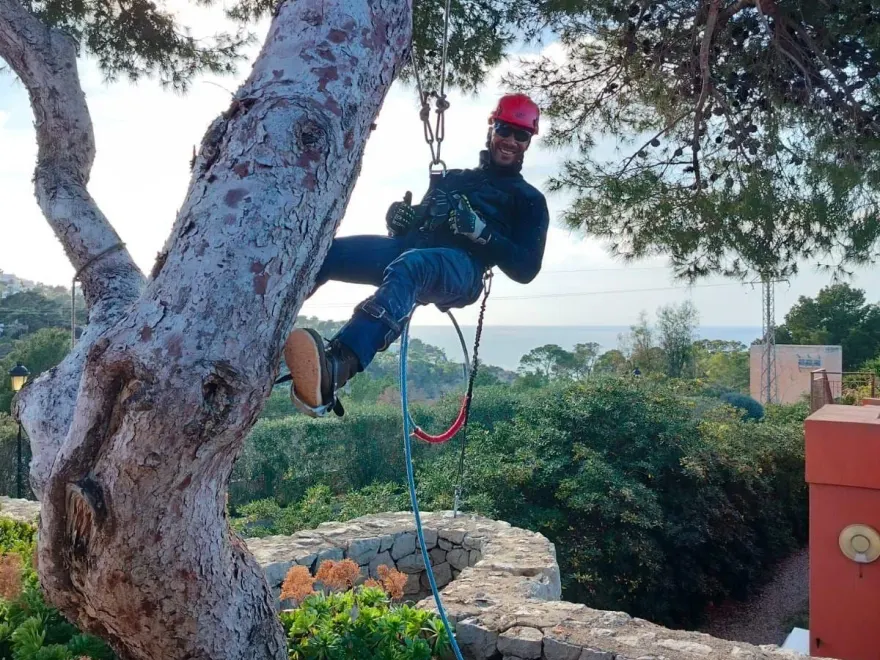 RYA Garten employee professionally pruning a palm tree
