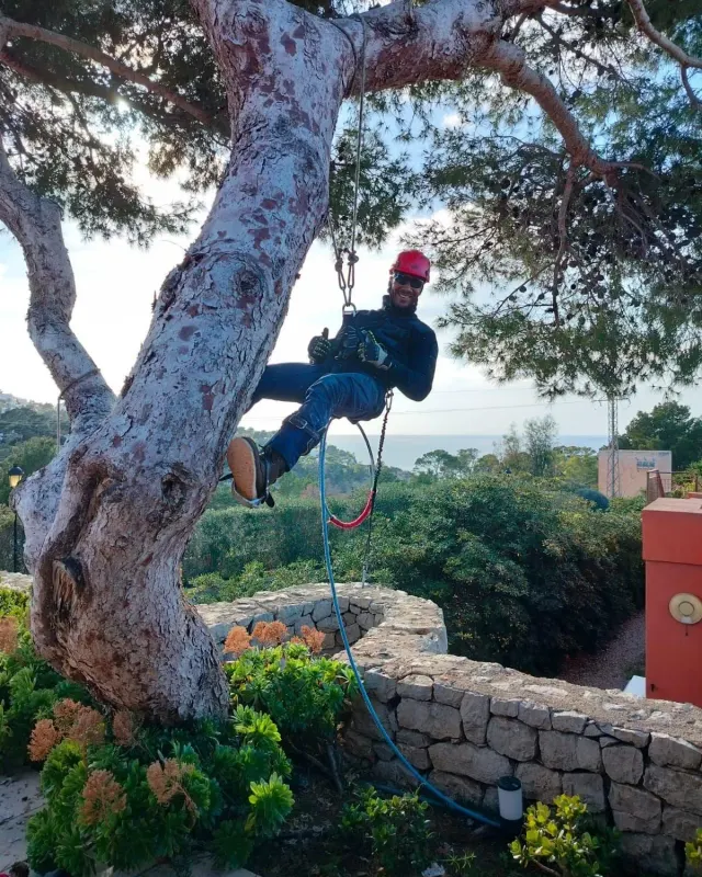 Empleado de RYA Garten realizando la poda profesional de una palmera