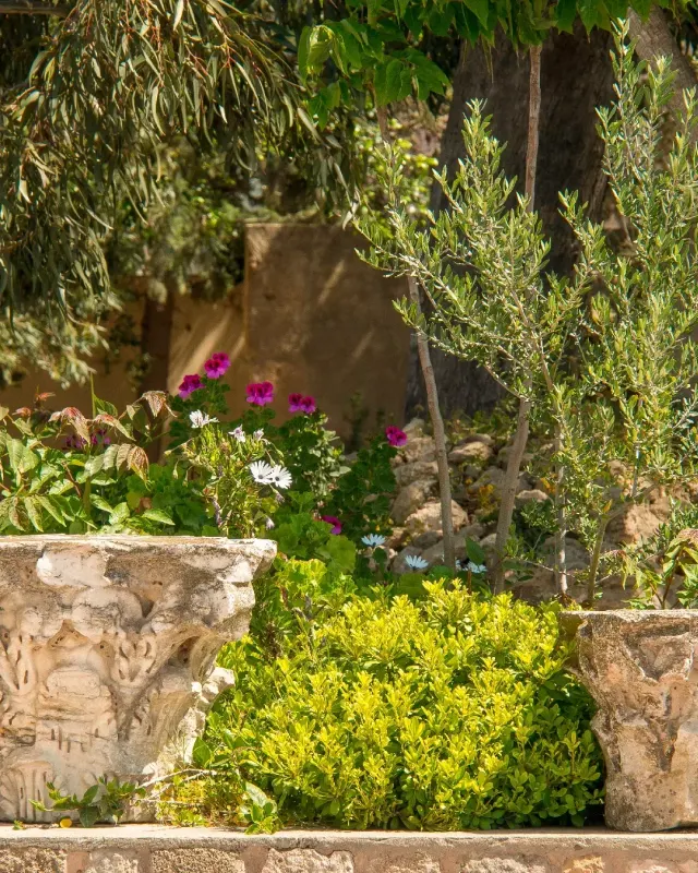 Jardín con buganvilla en flor sobre arcos blancos